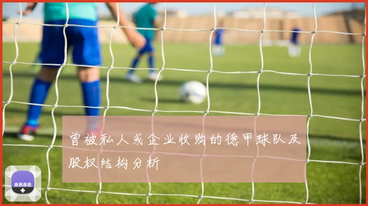 曾被私人或企业收购的德甲球队及股权结构分析