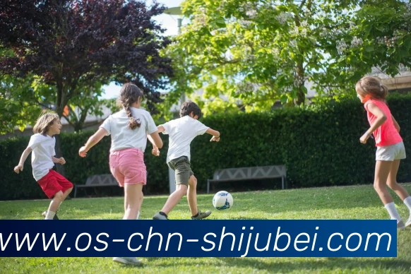 世界杯买球平台生态图