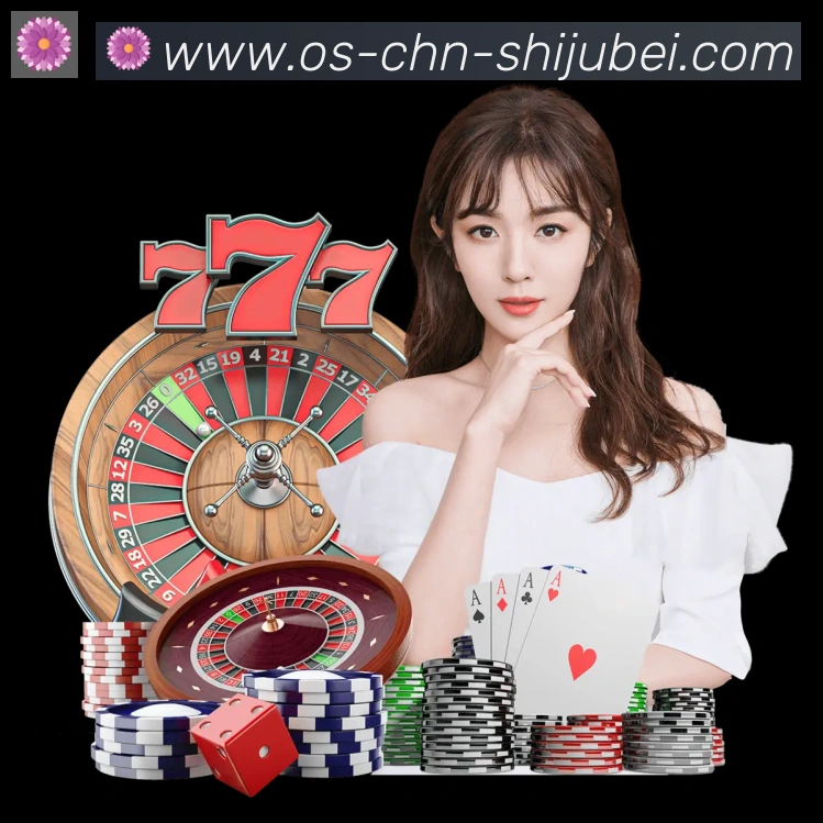 未来规划