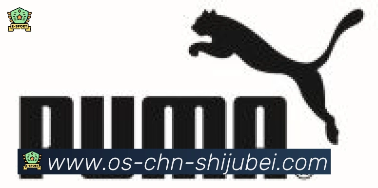 世界杯买球合作伙伴