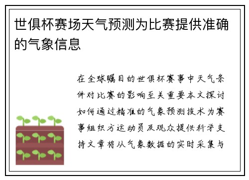 世俱杯赛场天气预测为比赛提供准确的气象信息